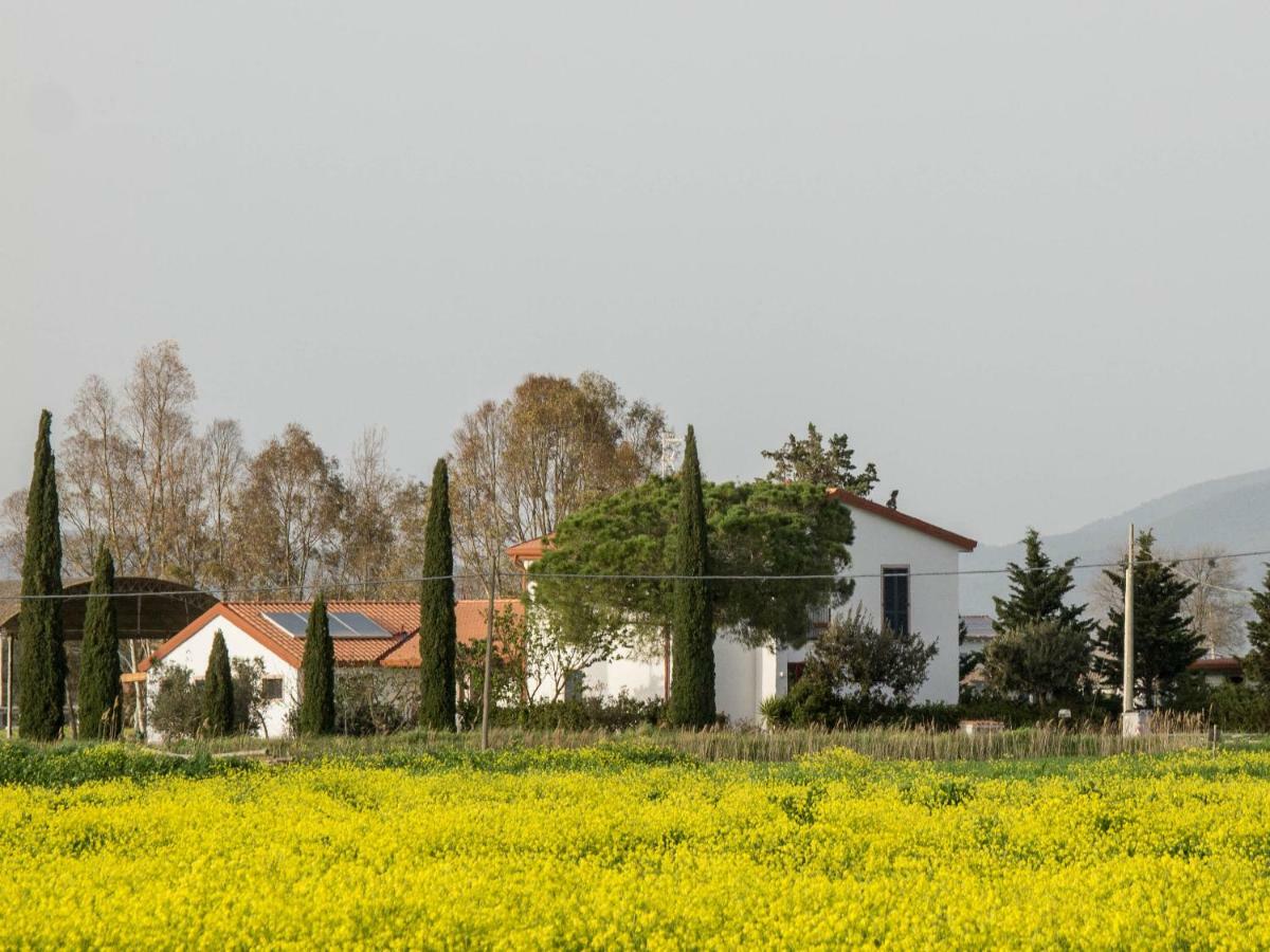 B&B Podere684 Grosseto Exterior photo