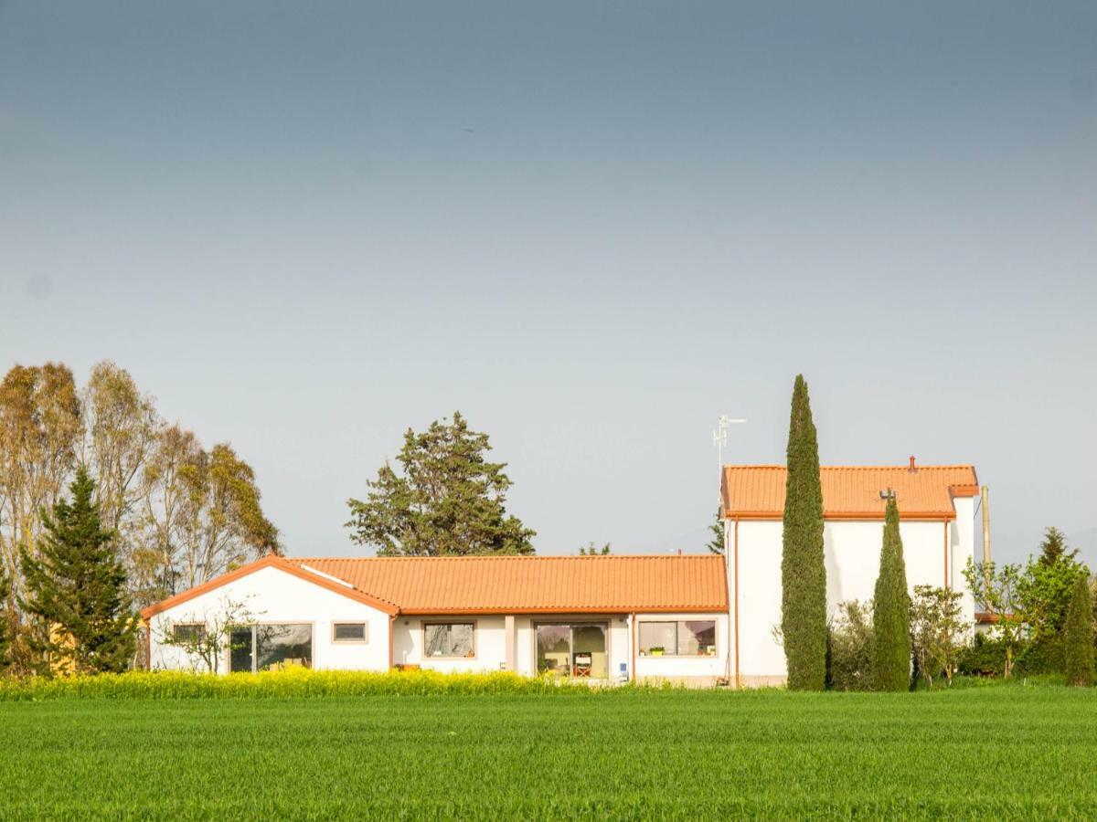 B&B Podere684 Grosseto Exterior photo